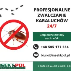 Jak skutecznie pozbyć się karaluchów w bloku i uniknąć inwazji