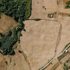 Jak znaleźć granice działki i uniknąć problemów z nieruchomościami