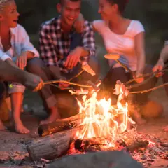 Czy można palić ognisko na działce ROD? Przepisy, które musisz znać