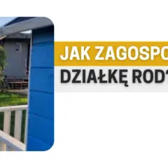 Zaniedbana działka rod od czego zacząć? Oto proste kroki do sukcesu