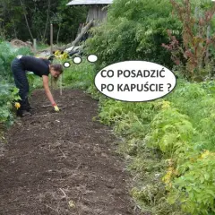Co po czym siać na działce, aby uniknąć problemów z glebą?