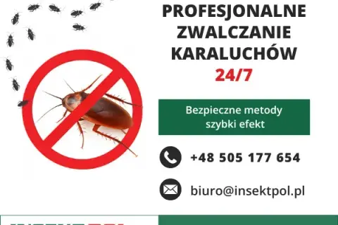 Jak skutecznie pozbyć się karaluchów w bloku i uniknąć inwazji