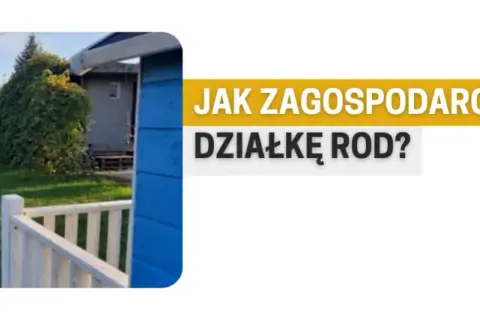 Zaniedbana działka rod od czego zacząć? Oto proste kroki do sukcesu