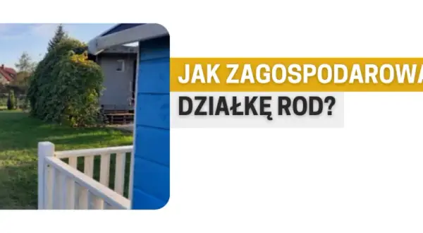 Zaniedbana działka rod od czego zacząć? Oto proste kroki do sukcesu