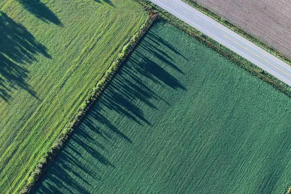 Zdjęcie Kto płaci za podział działki? Odkryj ukryte koszty i odpowiedzialność